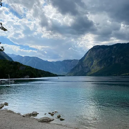 Apartment Lux In Bohinj *