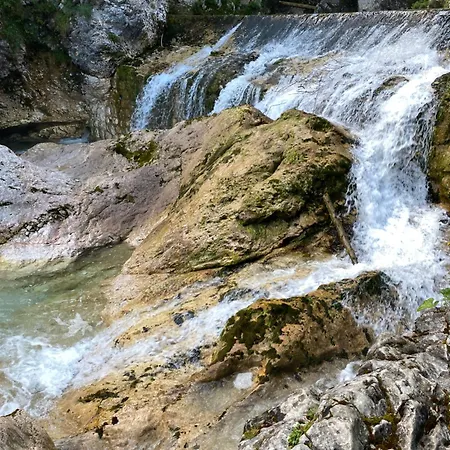 Lux In Bohinj