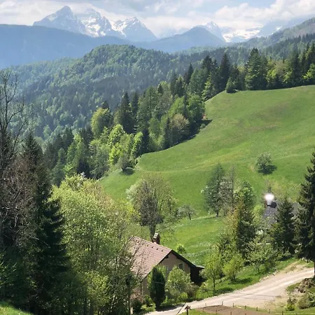 Apartment Lux In Bohinj